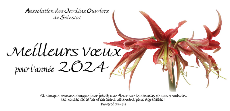 Carte voeux 2021 800x398.png