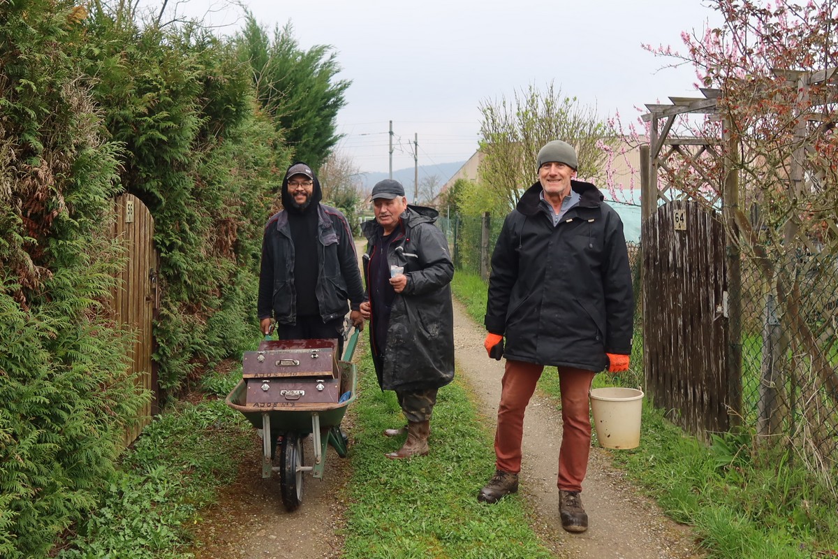 2025 03 29 IMG 1874 cr