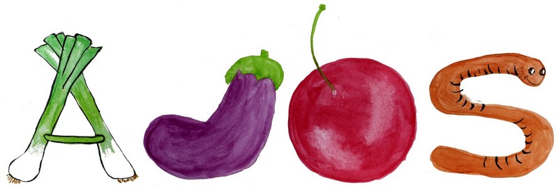 Logo couleurs AJOS 800x270